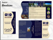 layout_brochure.jpg